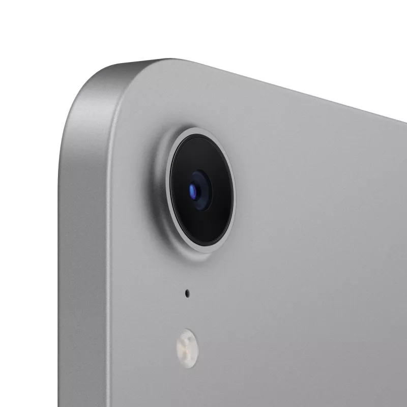 APPLE iPad Mini Wi-Fi 256GB - Pilka kosminė