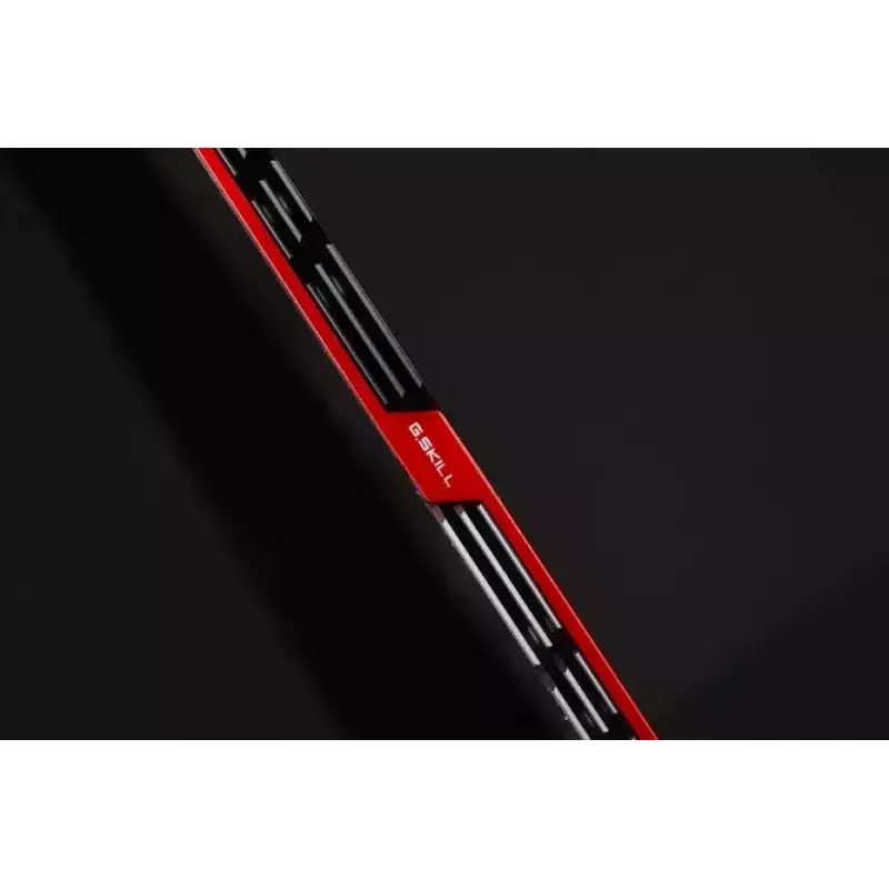 Atminties modulis G.Skill Trident Z DDR4 32 GB 3200 MHz