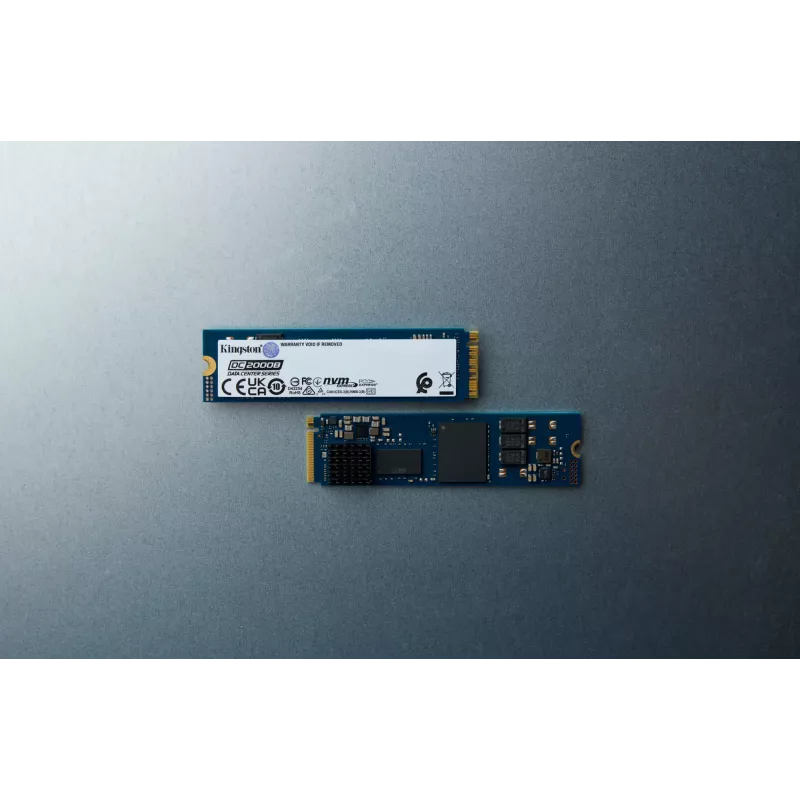 Kingston Technology 240G DC2000B PCIe 4.0 M.2 2280 Enterprise SSD