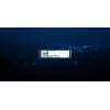 Kingston Technology 240G DC2000B PCIe 4.0 M.2 2280 Enterprise SSD