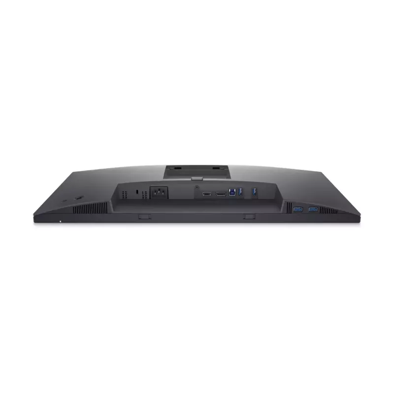 Monitorius DELL P2423D 23,8 colio LCD Quad HD 2560 x 1440