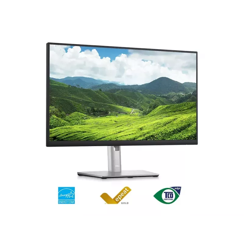 Monitorius DELL P2423D 23,8 colio LCD Quad HD 2560 x 1440