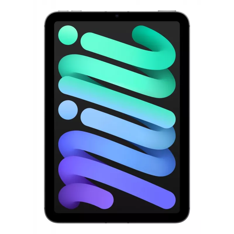 APPLE iPad Mini Wi-Fi + Cellular 256GB - Pilka kosminė