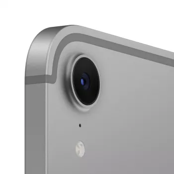 APPLE iPad Mini Wi-Fi + Cellular 256GB - Pilka kosminė