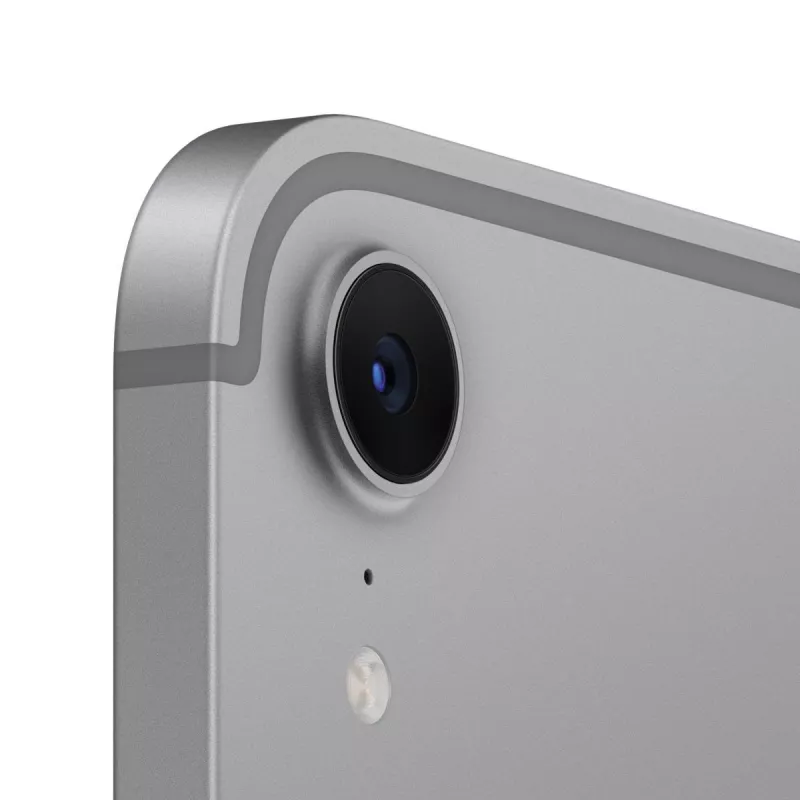 APPLE iPad Mini Wi-Fi + Cellular 256GB - Pilka kosminė