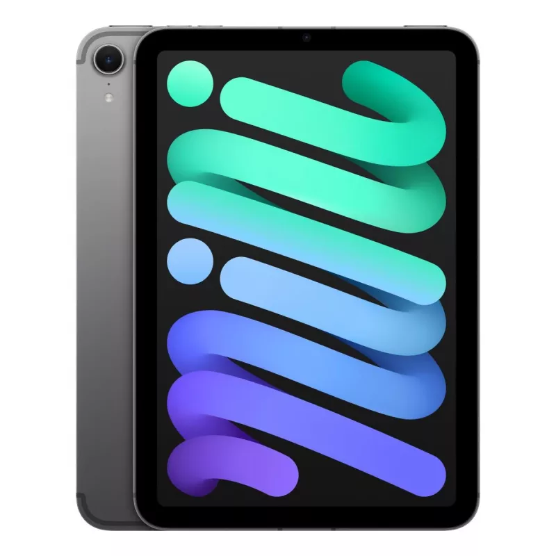APPLE iPad Mini Wi-Fi + Cellular 256GB - Pilka kosminė