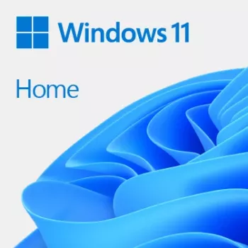 MICROSOFT Windows 11 Home 64bit OEM - 1 vartotojas - Win - Olandų