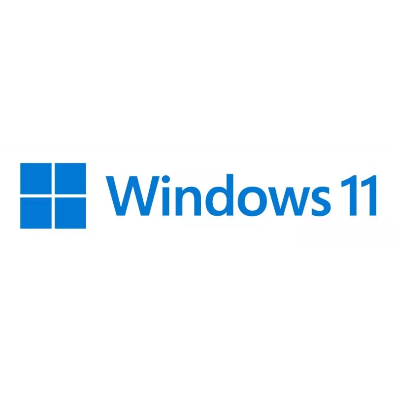 MICROSOFT Windows 11 Pro For Workstations 64bit Oem - 1 vartotojas - Win - anglų k.