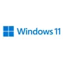 MICROSOFT Windows 11 Pro For Workstations 64bit Oem - 1 vartotojas - Win - anglų k.