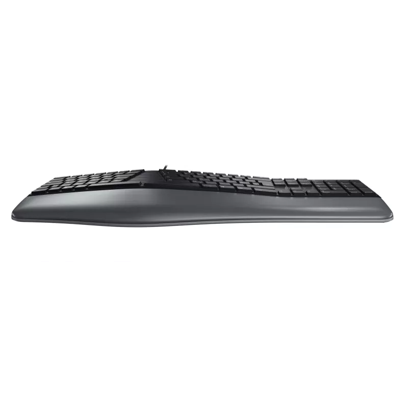 Vielinė ergonominė pilno dydžio klaviatūra Cherry KC 4500 ERGO juoda USB QWERTY JK 109 klavišų lenkta išdėstymo riešo atrama 1,8 m laidas