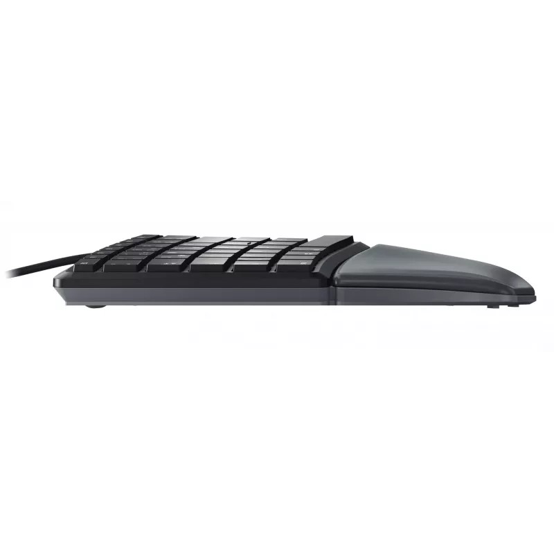 Vielinė ergonominė pilno dydžio klaviatūra Cherry KC 4500 ERGO juoda USB QWERTY JK 109 klavišų lenkta išdėstymo riešo atrama 1,8 m laidas