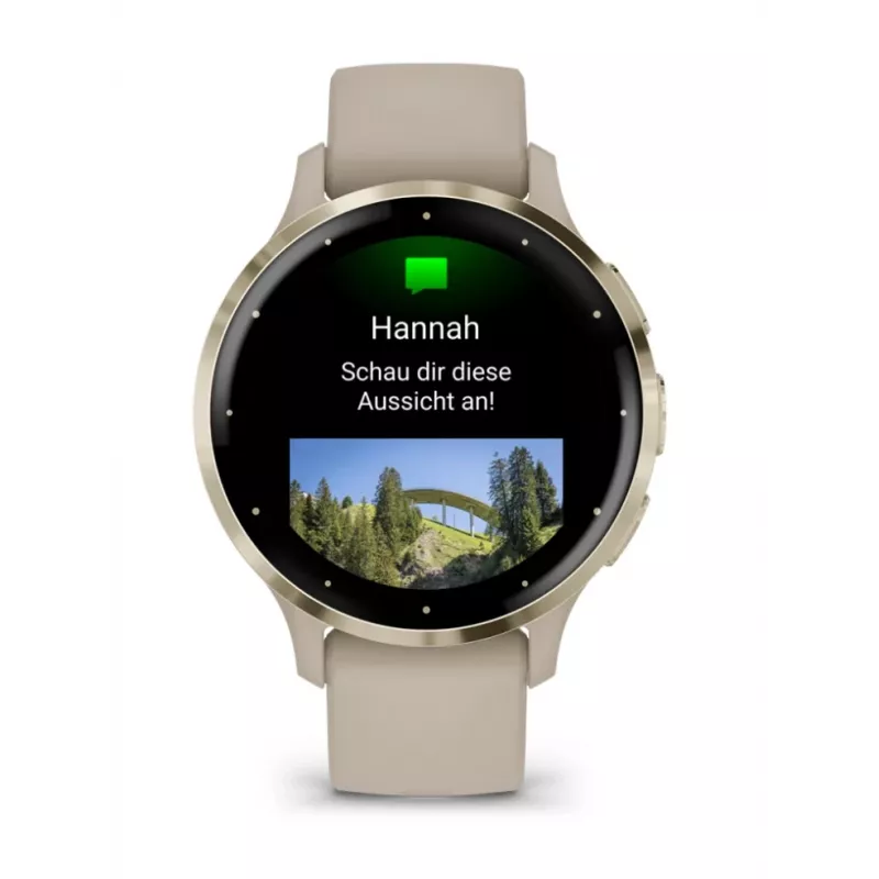 GARMIN INTERNATIONAL Venu 3S - 41 mm - išmanusis laikrodis su dirželiu - prancūzų - pilka