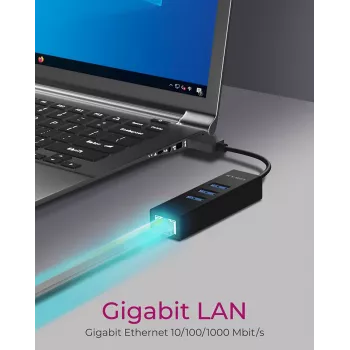 ICY BOX IB-HUB1419-LAN USB 3.2 Gen 1 (3.1 Gen 1) Type-A Juoda