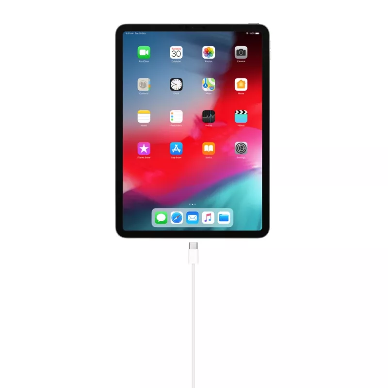 USB laidas Apple MM093ZM/A 1m USB C baltas
