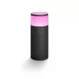 Philips Hue White and colour ambience Calla lauko stovas