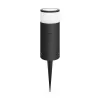 Philips Hue White and colour ambience Calla lauko stovas