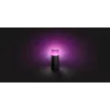 Philips Hue White and colour ambience Calla lauko stovas
