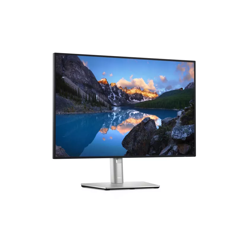 DELL UltraSharp U2421E kompiuterio monitorius 61,2 cm (24,1 colio) 1920 x 1200 pikselių WUXGA LCD sidabrinis