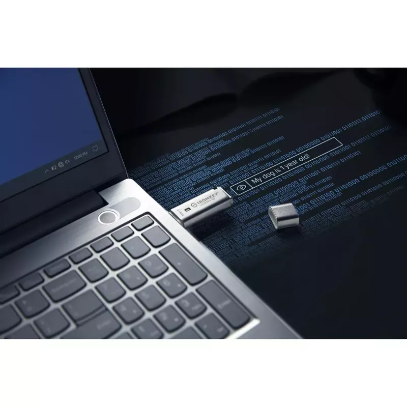Kingston Technology IronKey 128GB IKLP50 AES USB, su 256 bitų šifravimu
