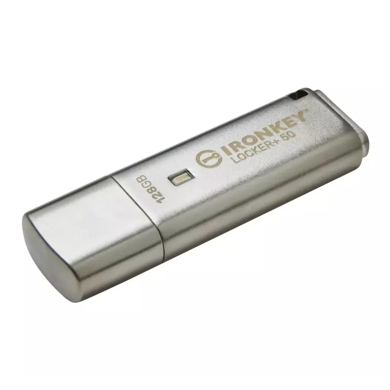 Kingston Technology IronKey 128GB IKLP50 AES USB, su 256 bitų šifravimu