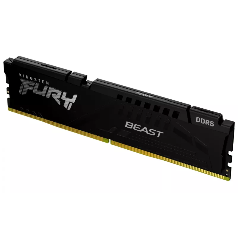 Kingston Technology FURY Beast 16GB 6000MT/s DDR5 CL36 DIMM Juoda EXPO