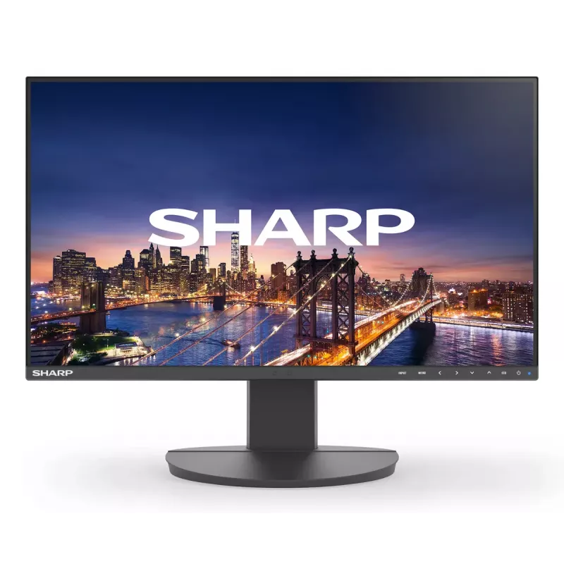 Sharp MultiSync EA242F kompiuterio monitorius 24 colių Full HD 1920 x 1080 LCD juodas