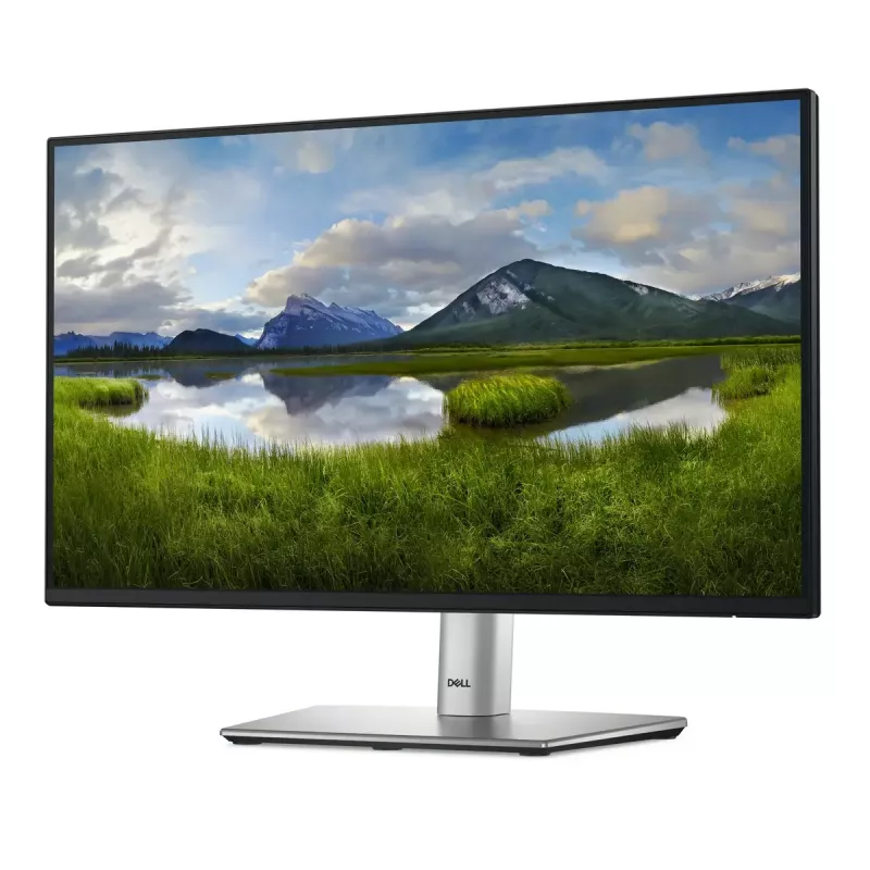 DELL P Series P2225H kompiuterio monitorius 54,6 cm (21,5 colio) 1920 x 1080 pikselių Full HD LCD juodas, sidabrinis