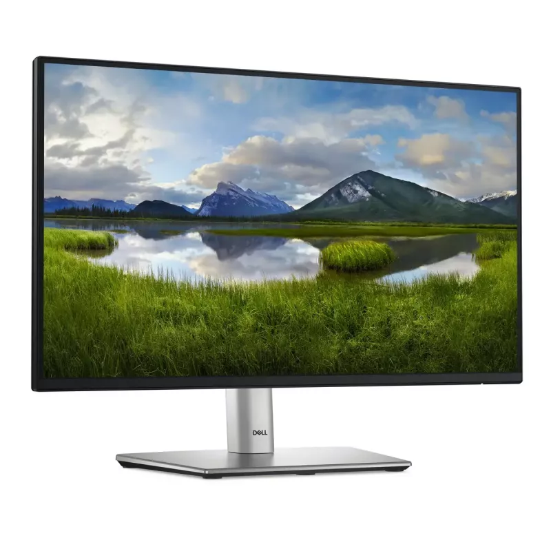 DELL P Series P2225H kompiuterio monitorius 54,6 cm (21,5 colio) 1920 x 1080 pikselių Full HD LCD juodas, sidabrinis