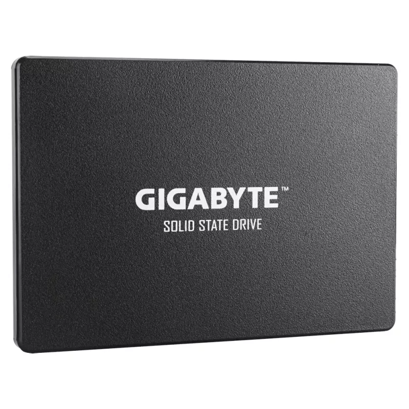 GIGABYTE GP-GSTFS31100TNTD vidinis kietojo kūno diskas 1 TB 2,5 colio Serial ATA