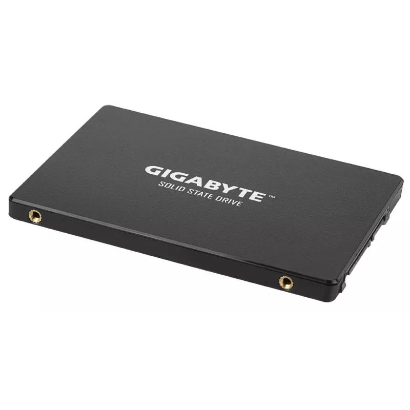GIGABYTE GP-GSTFS31100TNTD vidinis kietojo kūno diskas 1 TB 2,5 colio Serial ATA