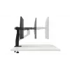 DELL Vieno monitoriaus laikiklis - MSA20, 10 kg, 48.3 cm (19 colių), 96.5 cm (38 colių), Aukščio reguliavimas, Juoda