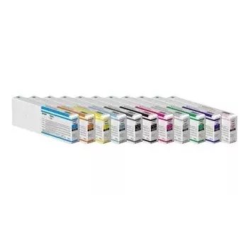 Epson UltraChrome Pro 12 rašalo kasetė 1 vnt. Originali Pilka