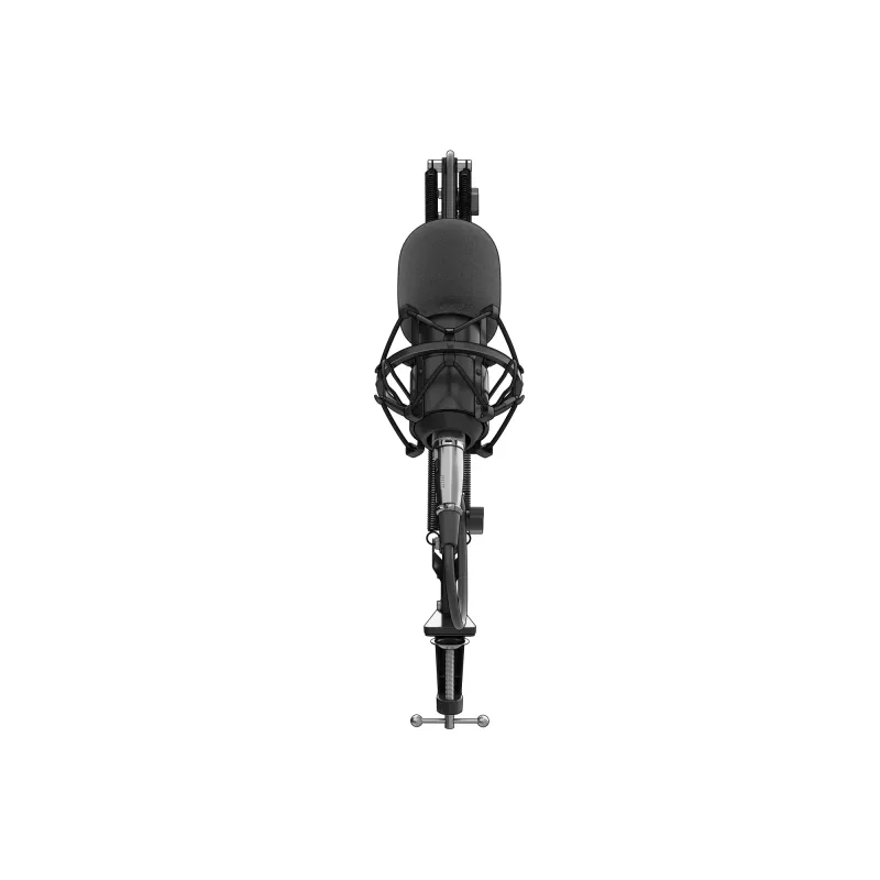 GENESIS Radium 300 XLR Juoda Studio mikrofonas
