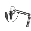 GENESIS Radium 300 XLR Juoda Studio mikrofonas