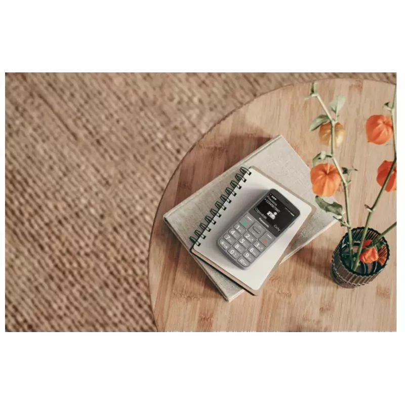 Mobilusis telefonas Panasonic KX-TU160 2,4 col.