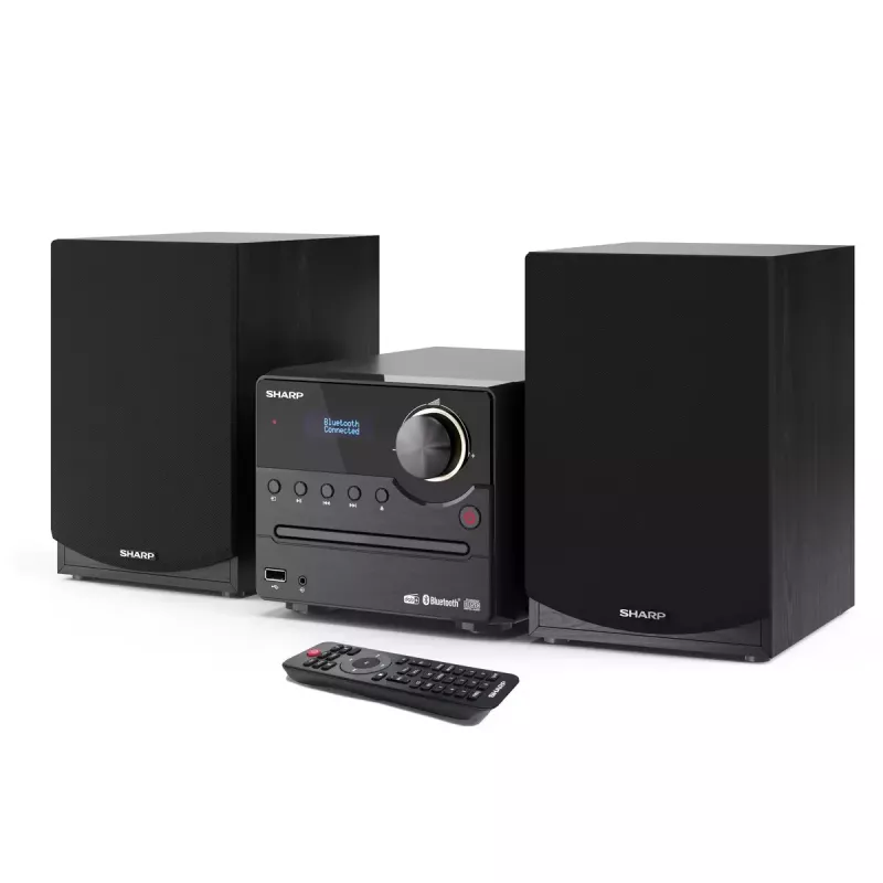 Sharp XL-B517D Namų garso mikro sistema 45 W Juoda