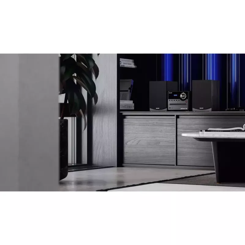 Sharp XL-B517D Namų garso mikro sistema 45 W Juoda