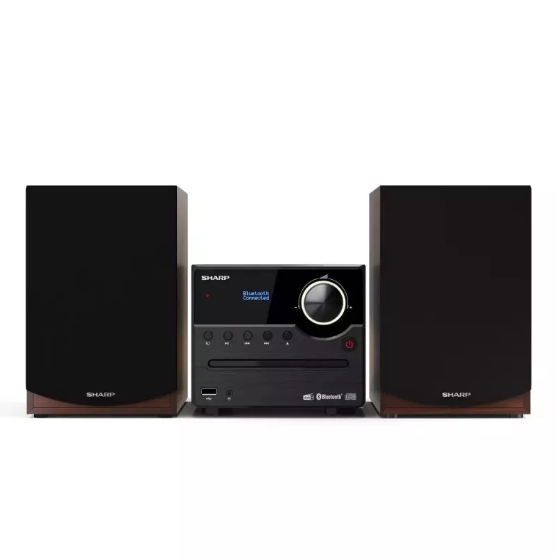 Sharp XL-B517D Namų garso mikro sistema 45 W Ruda