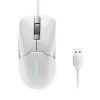 Lenovo GY51H47351 pelė, žaidimams, dešiniarankiams, USB Type-A, optinė, 8000 DPI