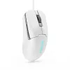 Lenovo GY51H47351 pelė, žaidimams, dešiniarankiams, USB Type-A, optinė, 8000 DPI