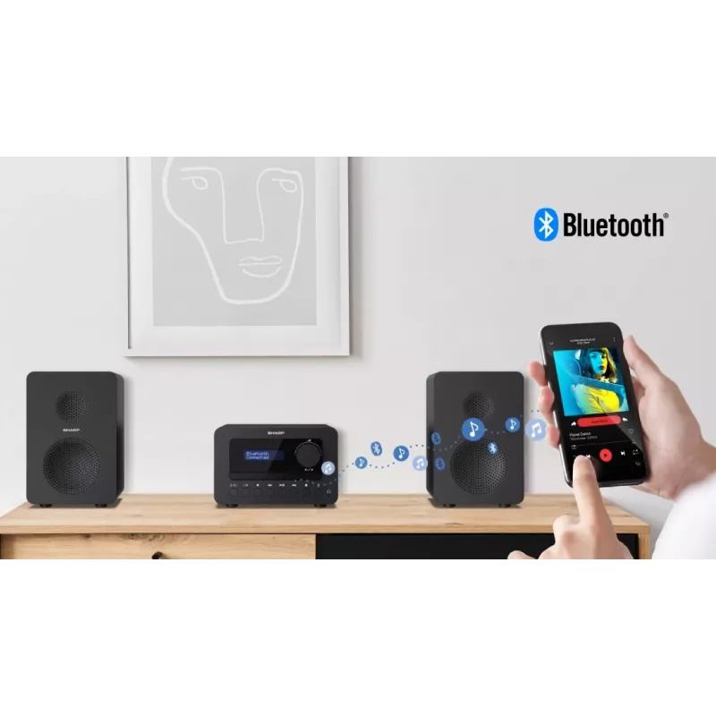 Sharp TOKYO DAB+ HI-FI mikro sistema Namų garso mikro sistema 40 W Juoda