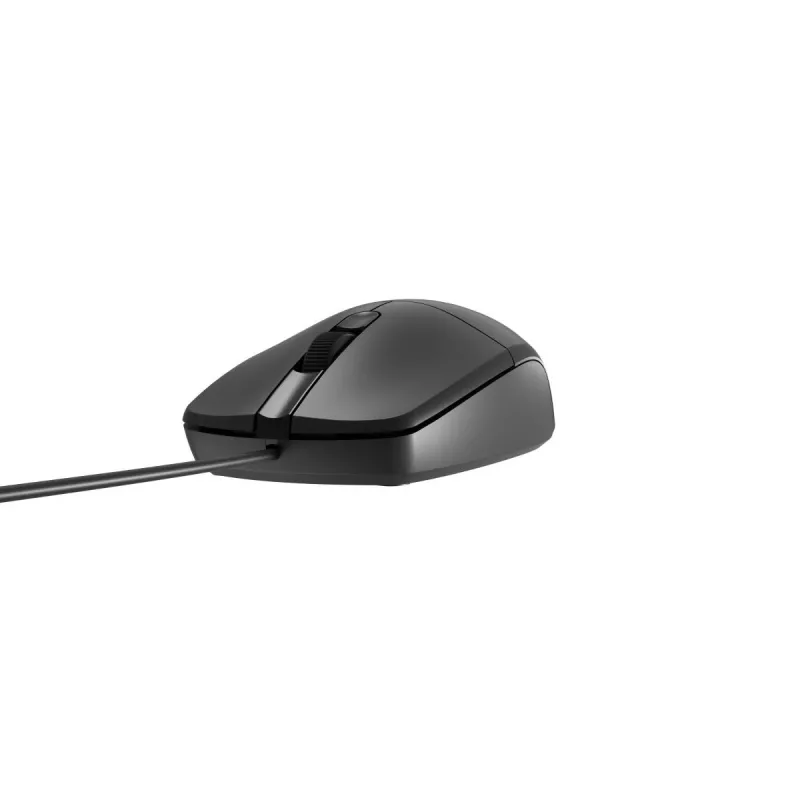 NATEC pelė USB Natec Ruff 2 1000 dpi optinė juoda