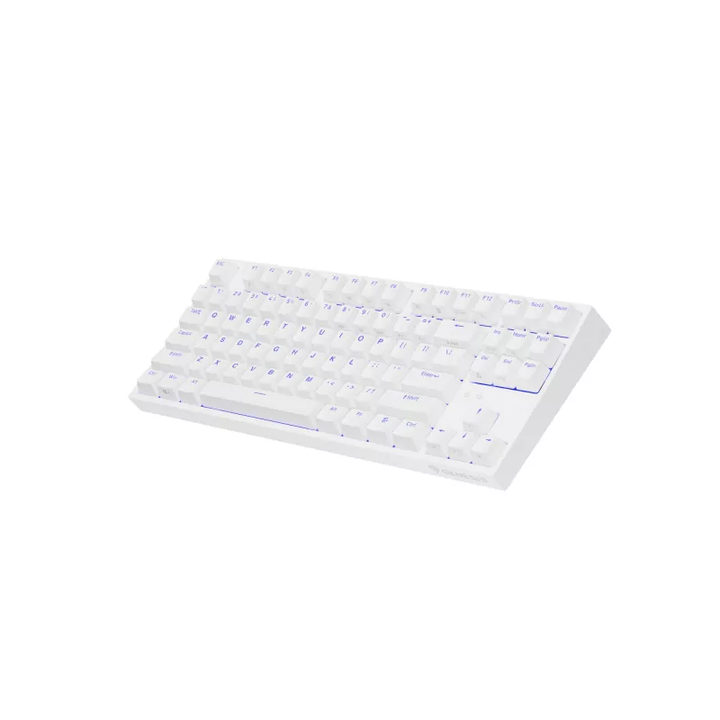 GENESIS Thor 404 TKL klaviatūra žaidimams USB QWERTY US International White