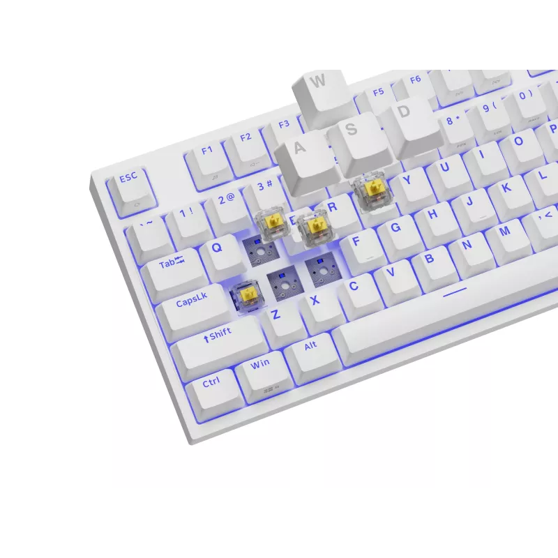 GENESIS Thor 404 TKL klaviatūra žaidimams USB QWERTY US International White