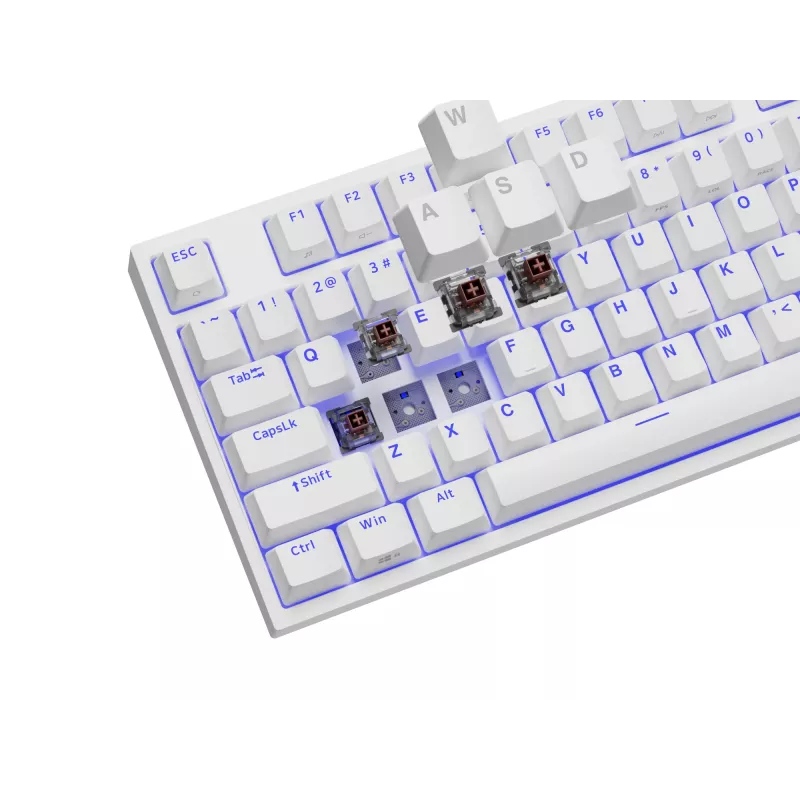 GENESIS Thor 404 TKL klaviatūra Gaming USB QWERTY US International White
