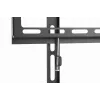 TV laikiklis Gembird WM-55F-04 Juoda 55 col. 35 kg talpa