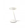 Išmanusis stalinis žibintas „Wizarding World Portrait Desk Lamp“ – „Wi‑Fi“, kintama šviesa, 5 V, 195×204×380 mm, baltas