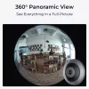 IP apsaugos kamera Reolink Fisheye P520 6MP kupolinė, 2560×2560, 180° fisheye, PoE/DC, microSD iki 256 GB