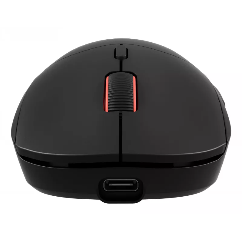 GENESIS Zircon XIII pelė žaidimams Ambidextrous RF Wireless + USB Type-C Optinė 26000 DPI