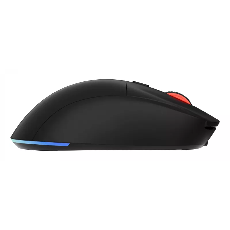 GENESIS Zircon XIII pelė žaidimams Ambidextrous RF Wireless + USB Type-C Optinė 26000 DPI